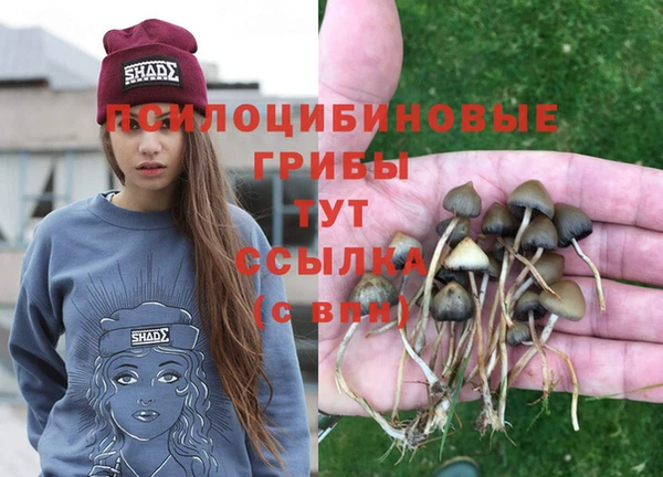 дурь Баксан