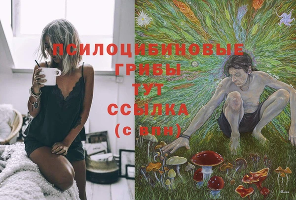 дурь Баксан