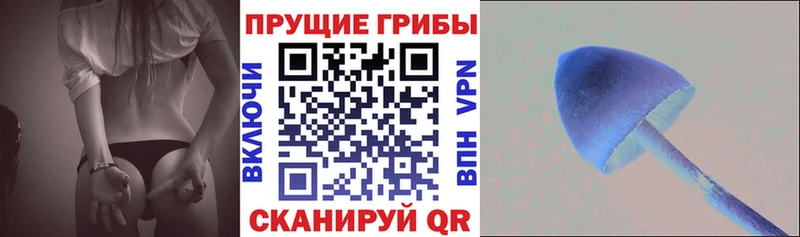 Псилоцибиновые грибы GOLDEN TEACHER KRAKEN маркетплейс Верхнеуральск